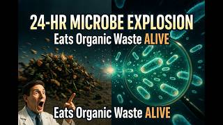 The 24-Hour Microbe Explosion That Eats Organic Waste