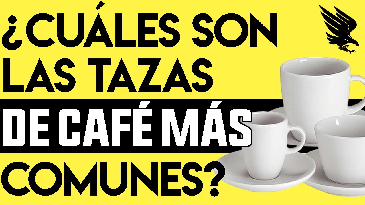 Jasni Taza de café de acero inoxidable, tazas de café expreso y grandes  tazas de capuchino con cucha…Ver más Jasni Taza de café de acero  inoxidable