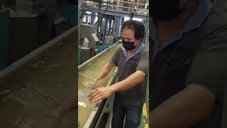 Download Lagu beras plastik MP3