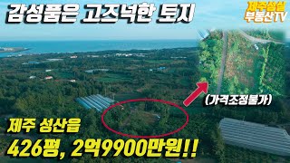 제주 성산읍 감성품은 토지 426평 3억미만, 스튜디오 및 작업실로 추천합니다(제주 부동산/제주 토지/제주도 부동산) 매물번호 SL-1029