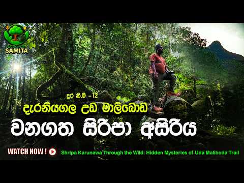 කිලෝමීටර් 12ක අති දුෂ්කර උඩ මාලිබොඩ වනගත ශ්‍රී පාද වන්දනාව | Uda Maliboda Sri Padaya #travel