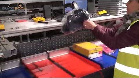 EuroSort Twin-Push Tray Sorter for E-commerce Application