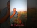 جمهورية التلواز