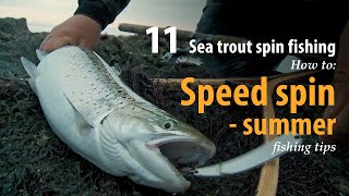 How to • Sea trout  Spin fishing • Speed spin  Summer • fishing tips