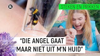 HOMMEL STEEKT EN LAAT NIET LOS?!| Steken en Prikken S2 #3 | NPO Zapp