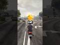 Cat Instantly Regretted This 😹😾 sound Via:@tyler.vitelli