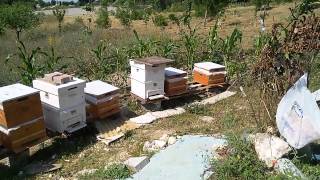 Balabanbal Genel Görünüş Ay