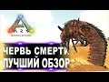 Червь смерти (Deathworm) в АРК. Лучший обзор: способности и способы убийства червей в ark