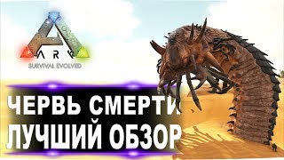 Червь смерти (Deathworm) в АРК. Лучший обзор: способности и способы убийства червей в ark