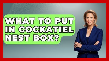 What To Put In Cockatiel Nest Box? - Bird Watching Diaries