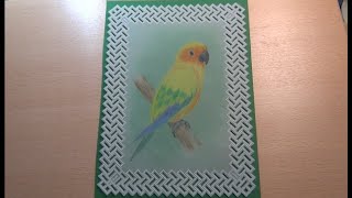 Sun Conure painted with Faber Castell Polychromos.