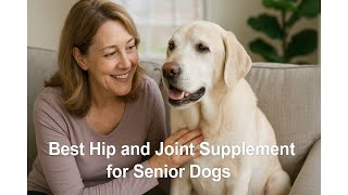 🐕 Best Hip and Joint Supplement for Senior Dogs | The Missing Link Probiotics Supplement 1lb Bag 🐕