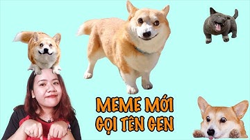 Chú chó Gen thất lạc của Nguyễn Văn Dúi | Meme huyền thoại mới toanh!