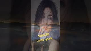 Senide Kader Yazdı