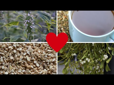 Video: Jaký čaj Je Dobrý Pro Zdraví