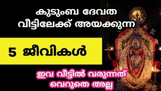 കുടുംബ ദേവത വീട്ടിലേക്ക് അയക്കുന്ന ജീവികൾ