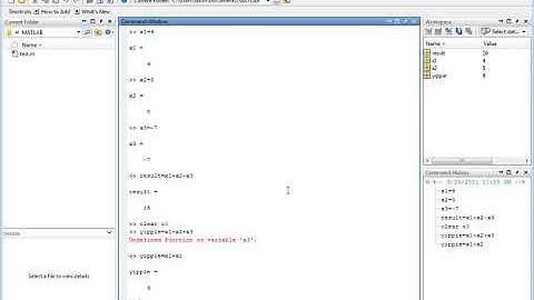 11   Clearing Variables