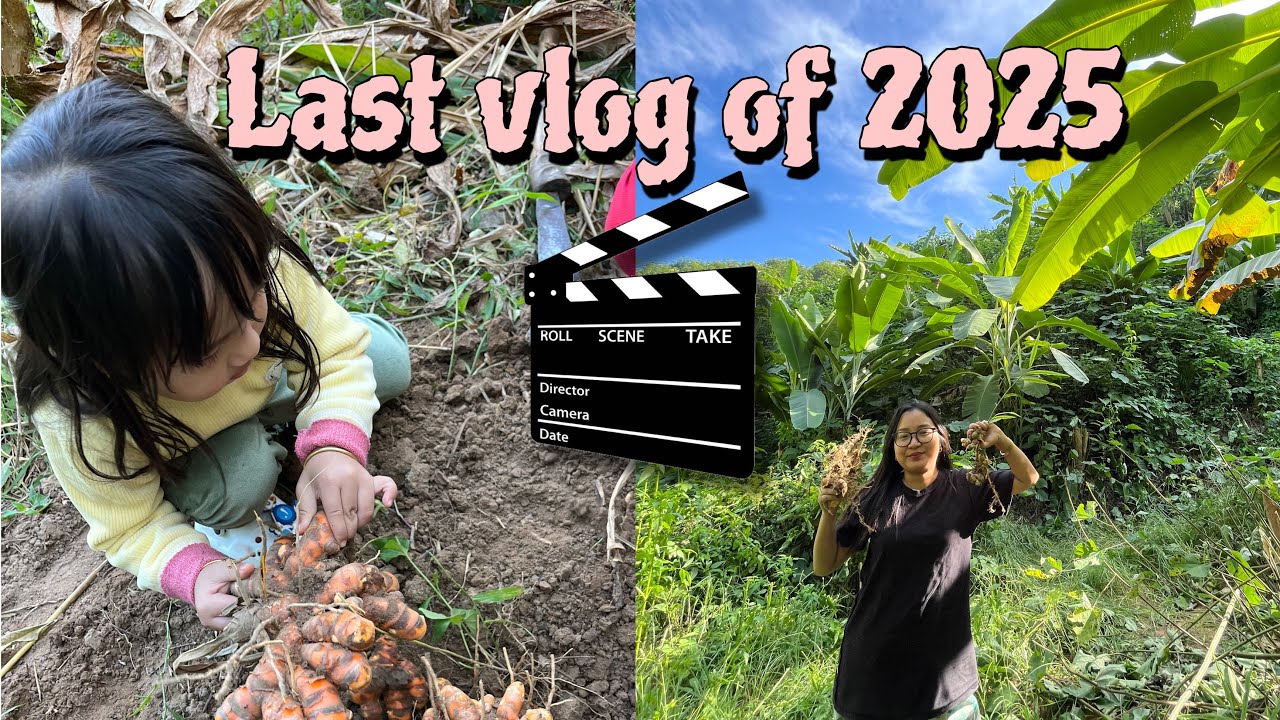 Последний видеоблог 2025 года