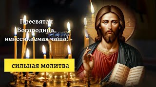 Пресвятая Богородица, неиссякаемая чаша!   сильная молитва