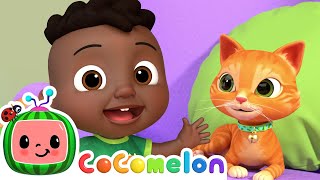 this is the way kitty cody and friends sing with cocomelon