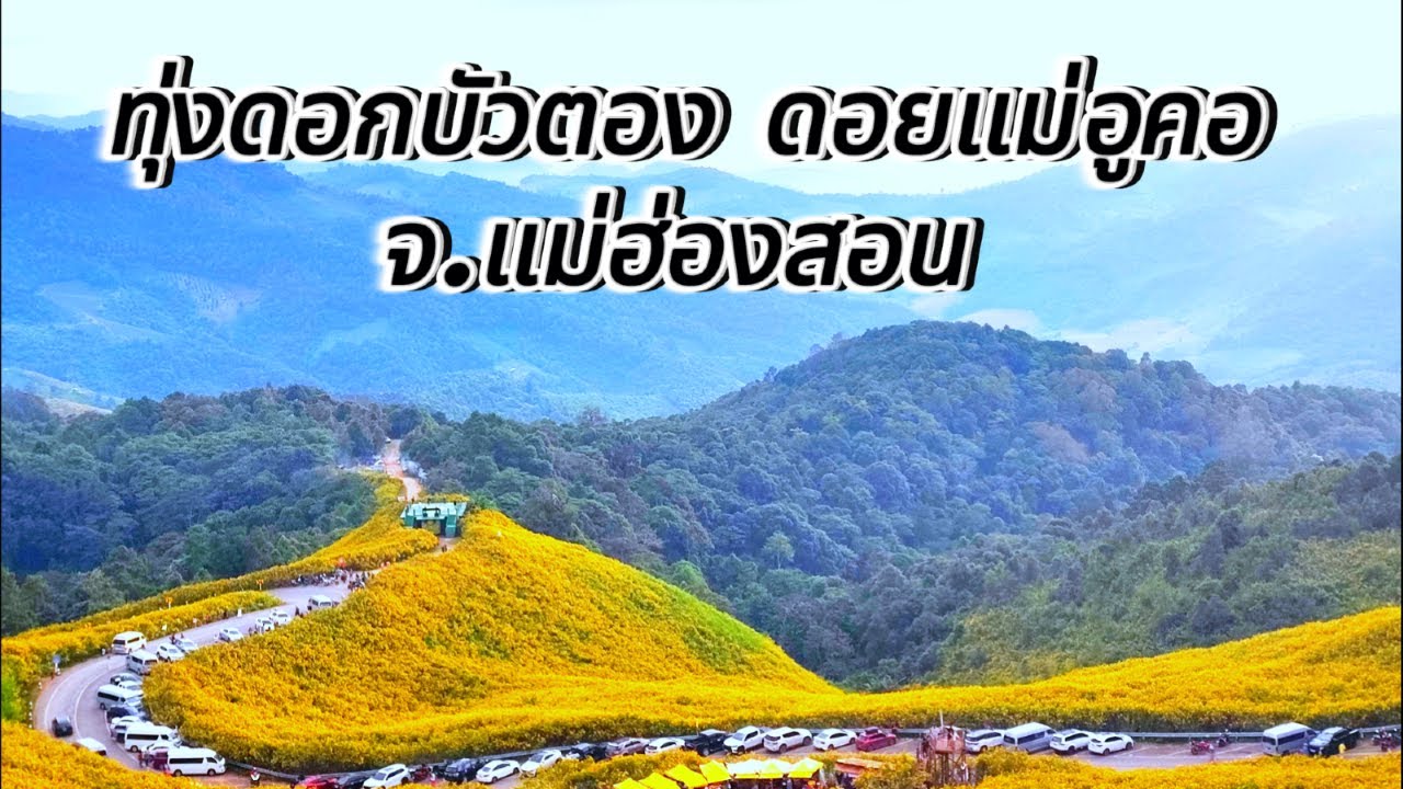 ขี่มอเตอร์ไซค์เที่ยวทุ่งดอกบัวตอง ดอยแม่อูคอ อ.ขุนยวม จ.แม่ฮ่องสอน