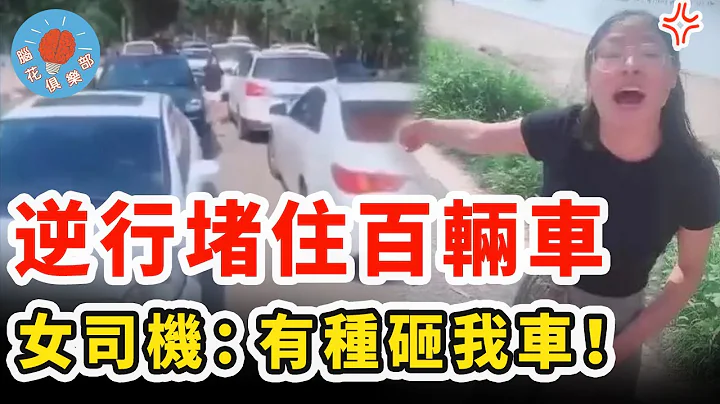 女司機無視交規任性逆行，堵住上百輛車還囂張，一句話惹眾怒被當場教育｜社會新聞 - 天天要聞