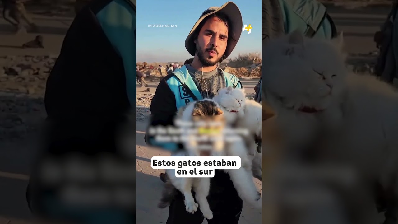 يعودون إلى غزة برفقة حيواناتهم الأليفة #shorts