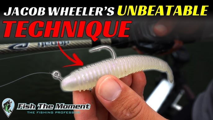 The TINY Fluke Modification That Makes It Look Like Live Bait