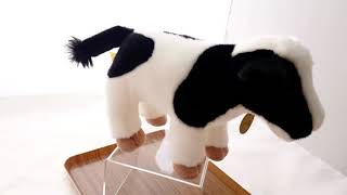 Aurora Miyoni Holstein Calf 11" Review