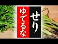 【せり】の美味しい食べ方!驚くほど美味しくなる!