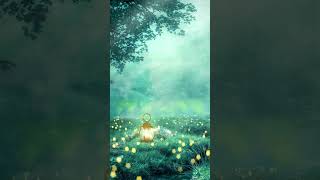 Forest Glade - Fantasy Ambient Music - Ethereal Meditation Music #shorts