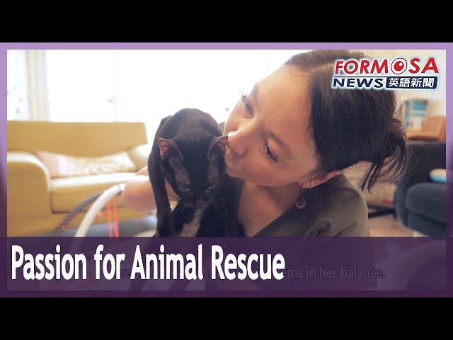 Taiwanese-German academic and radio host committed to animal rescue｜Taiwan News