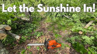 Big Woods Country Bedding Cut- Cutting Hardwoods on Great Topo Lines