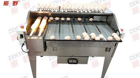 ZENYER 100A egg grader grading sorting machine 2000 eggs per hour