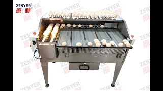 ZENYER 100A egg grader grading sorting machine 2000 eggs per hour