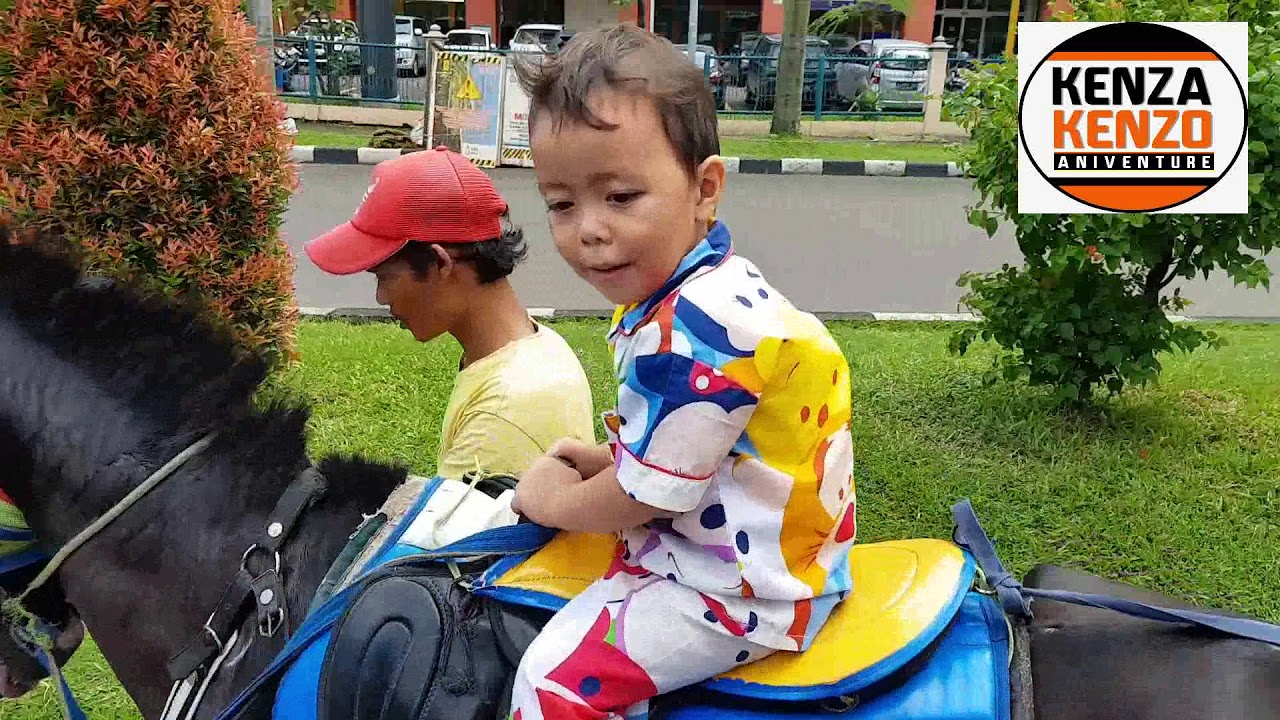 KUDA JOKER | Animal adVenture (AniVenture) Kenza Kenzo | Puri Indah Kembangan - Jakarta
