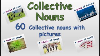 Collective Nouns|| 60 Collective Nouns for Animals, People and Things with Pictures||English Grammar