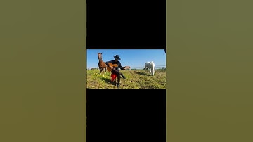 Thumbnail of El Amor de Mama ❤!!!!El kado my last composition.