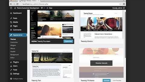 The WordPress Theme Customizer