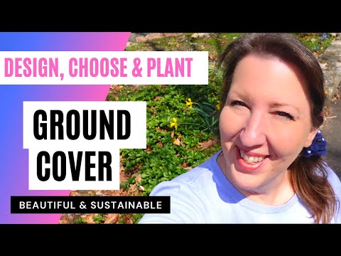 Vídeo: Walking On Groundcover – Cultivando Groundcovers que você pode pisar