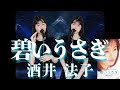 酒井法子『碧いうさぎ』【歌ってみた】