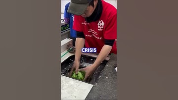 AITA for not sharing my inheritance with my step sister?  #redditstories #askredditstories