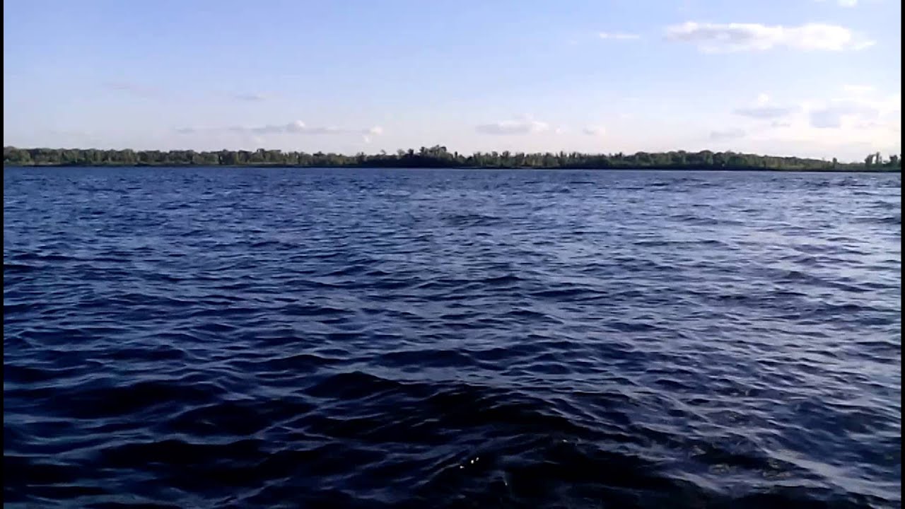 Селедка в волге