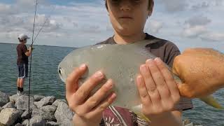 Multi-Species Catch at Skyway Bridge FISH ON CHANNEL