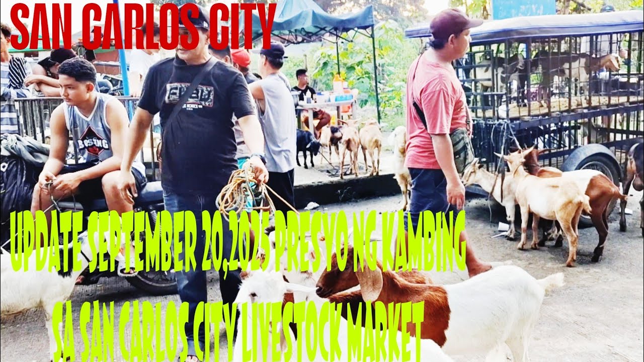 September 20, 2025 Update sa Presyo ng Kambing sa San Carlos City Livestock Market 