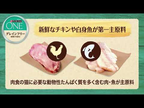 ピュリナ ワン グレインフリー」新製品紹介 - YouTube