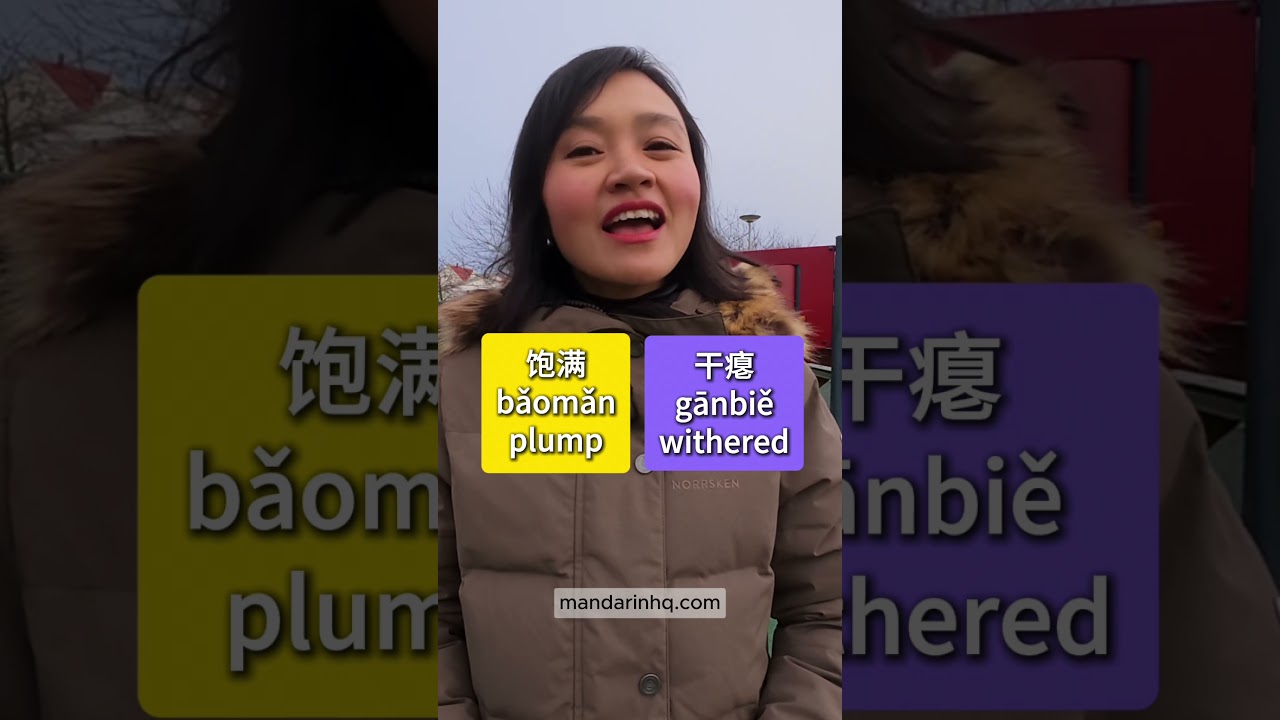 Mandarin Vocabulary Hack: Learn Opposites in Chinese!