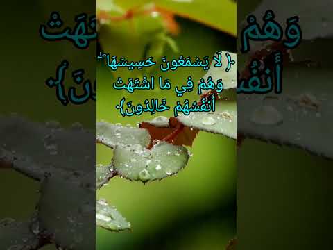 تتلقاهم الملائكة 