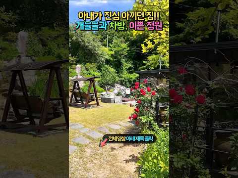 "아내는 파는 걸 너무 아쉬워하지만..." 3,000만 원 인하된 해발 620m 차방·개울물 전원주택 #shorts