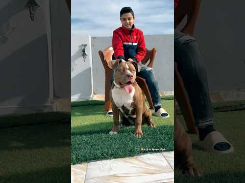 لقيت حد ٤ عاوز دهب   اكسبلور  كلاب